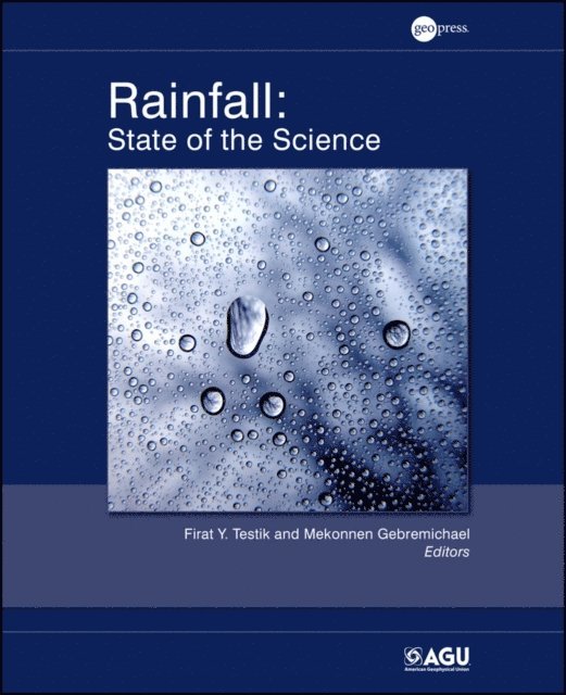 Mekonnen Gebremichael, Firat Y. Testik - Rainfall, E-bok