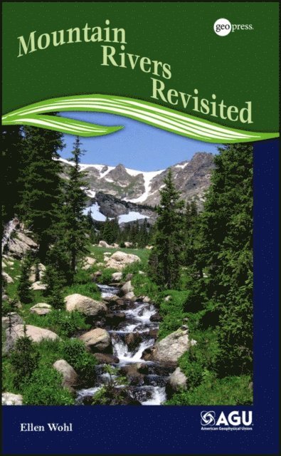 Ellen Wohl - Mountain Rivers Revisited, E-bok