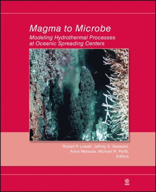 Michael R. Perfit, Anna Metaxas, Jeffrey S. Seewald, Robert P. Lowell - Magma to Microbe, E-bok