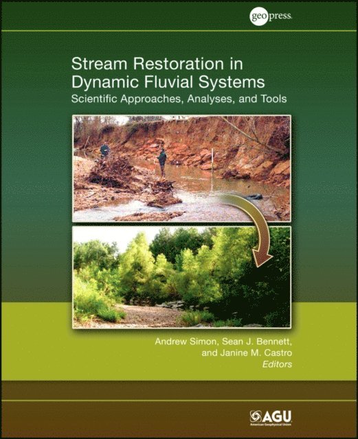 Janine M. Castro, Sean J. Bennett, Andrew Simon - Stream Restoration in Dynamic Fluvial Systems, E-bok