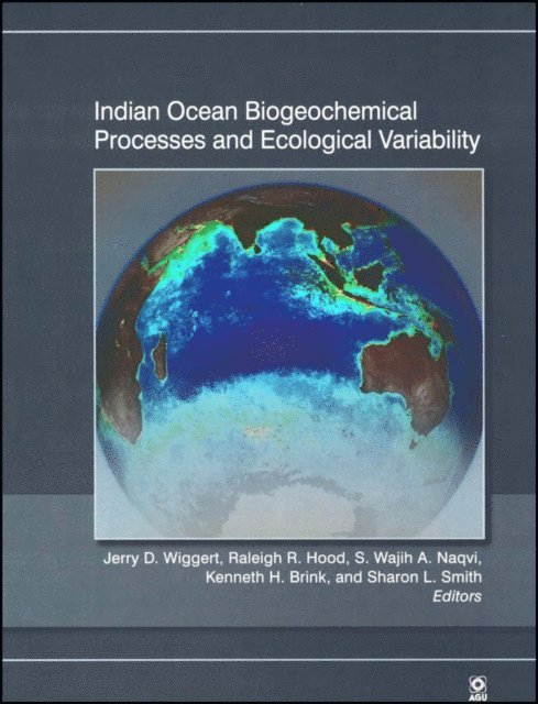 Sharon L. Smith, Kenneth H. Brink, S. Wajih A. Naqvi, Raleigh R. Hood, Jerry D. Wiggert - Indian Ocean Biogeochemical Processes and Ecological Variability, E-bok