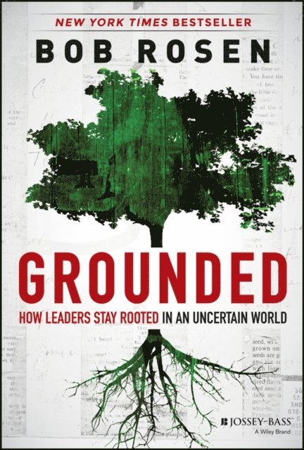 Bob Rosen - Grounded, E-bok