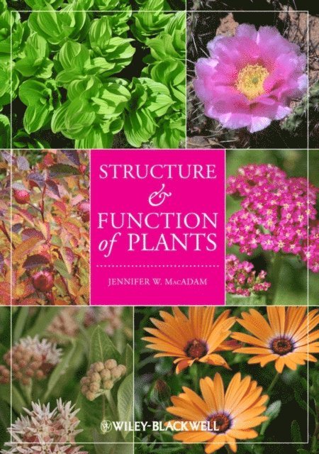 Jennifer W. MacAdam - Structure and Function of Plants, E-bok. Tillgänglighet: Lägg i varukorg