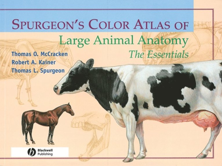 Thomas L. Spurgeon, Robert A. Kainer, Thomas O. McCracken - Spurgeon's Color Atlas of Large Animal Anatomy, E-bok