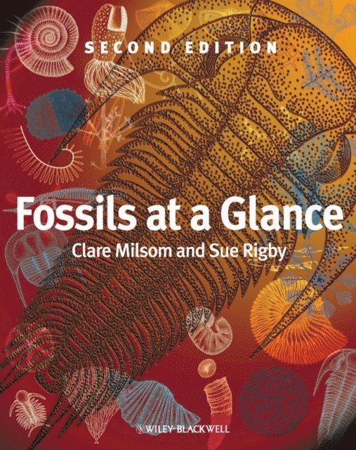 Sue Rigby, Clare Milsom - Fossils at a Glance, E-bok