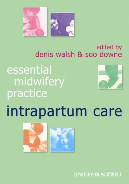 Soo Downe, Denis Walsh - Intrapartum Care, E-bok