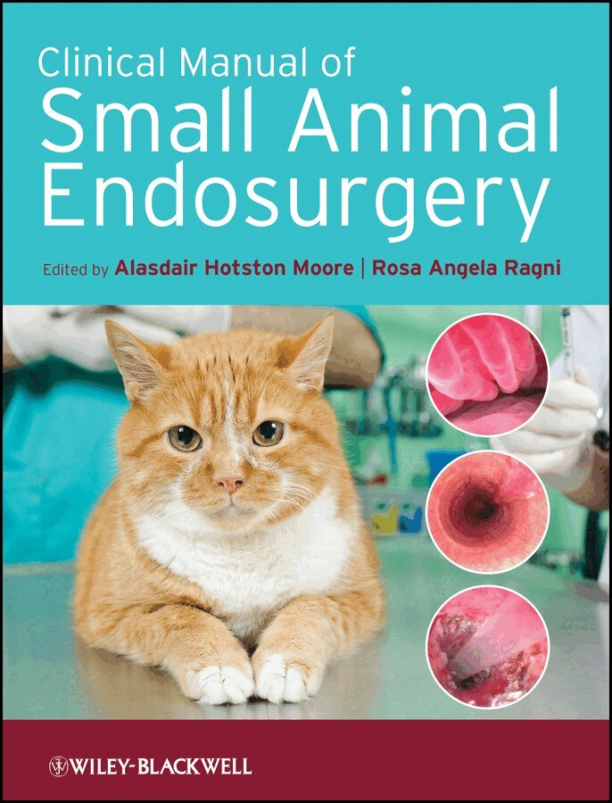 Alasdair Hotston Moore, Rosa Angela Ragni - Clinical Manual of Small Animal Endosurgery. Tillgänglighet: Tillfälligt slut