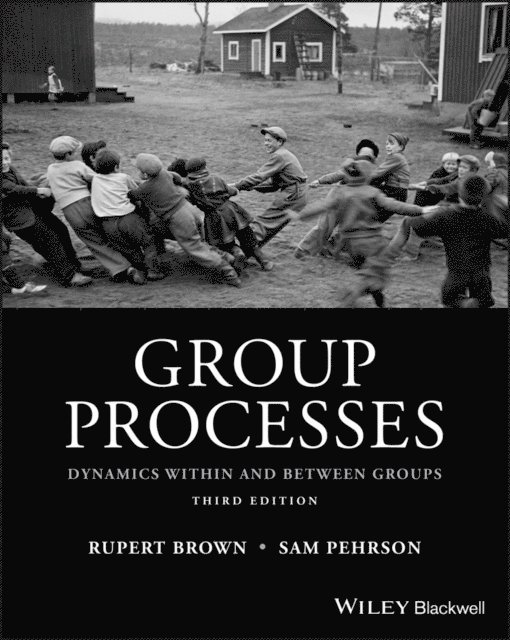 Samuel Pehrson, Rupert Brown - Group Processes, E-bok