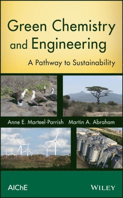 Martin A. Abraham, Anne E. Marteel-Parrish - Green Chemistry and Engineering, E-bok