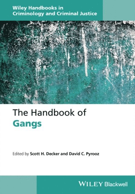 David C. Pyrooz, Scott H. Decker - Handbook of Gangs, E-bok