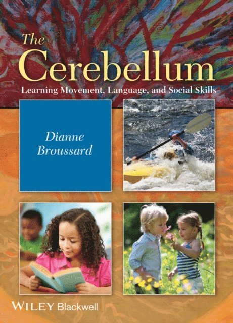 Dianne M. Broussard - Cerebellum, E-bok