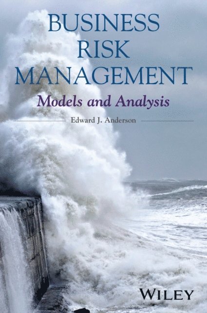 Edward J. Anderson - Business Risk Management, E-bok