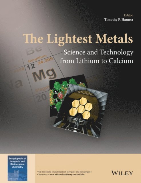 Timothy P. Hanusa - Lightest Metals, E-bok