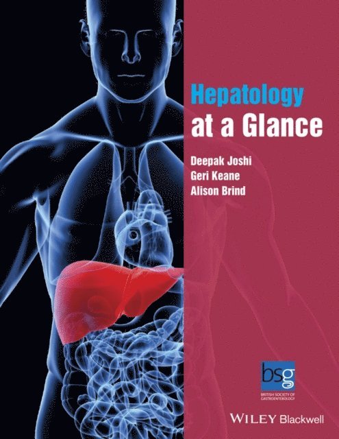 Alison Brind, Geri Keane, Deepak Joshi - Hepatology at a Glance, E-bok