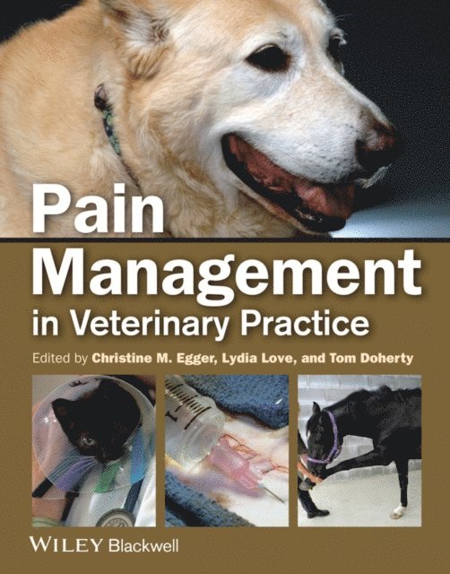 Tom Doherty, Lydia Love, Christine M. Egger - Pain Management in Veterinary Practice, E-bok
