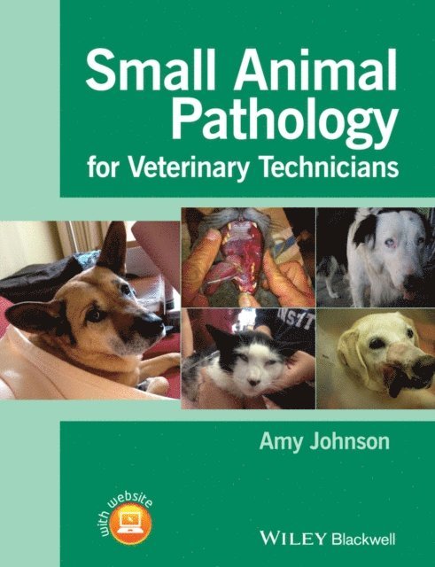 Amy Johnson - Small Animal Pathology for Veterinary Technicians, E-bok
