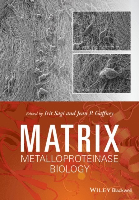 Jean Gaffney, Irit Sagi - Matrix Metalloproteinase Biology, E-bok