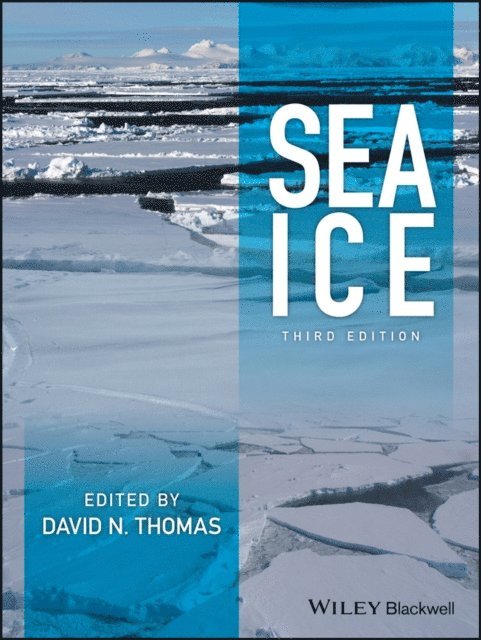 David N. Thomas - Sea Ice, E-bok