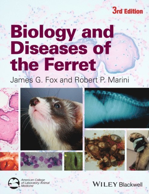 Robert P. Marini, James G. Fox - Biology and Diseases of the Ferret, E-bok