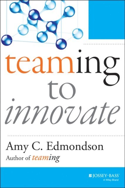 Amy C. Edmondson - Teaming to Innovate, E-bok