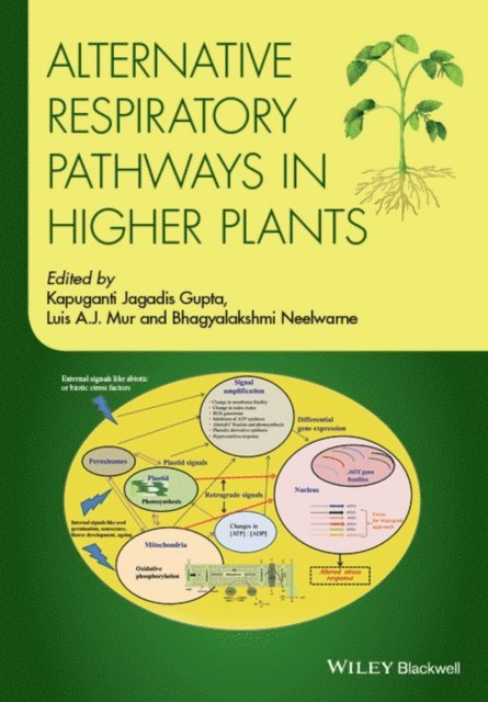 Bhagyalakshmi Neelwarne, Luis A. J. Mur, Kapuganti Jagadis Gupta - Alternative Respiratory Pathways in Higher Plants, E-bok