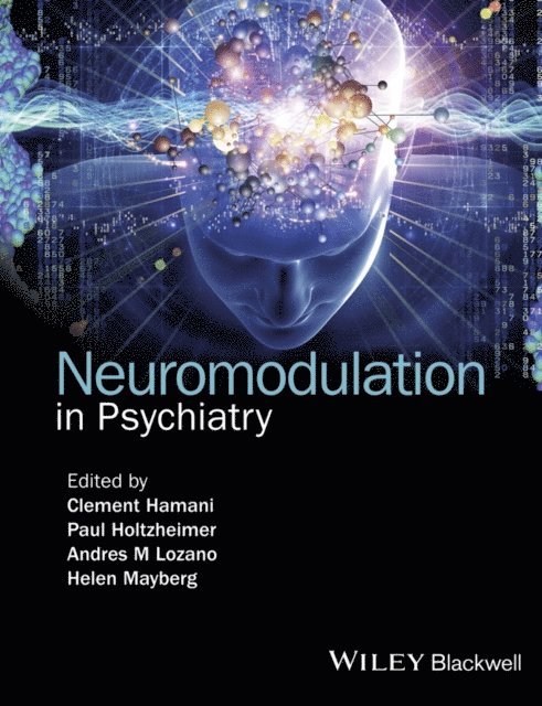 Helen Mayberg, Andres M. Lozano, Paul Holtzheimer, Clement Hamani - Neuromodulation in Psychiatry, E-bok
