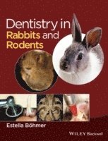 Estella Böhmer - Dentistry in Rabbits and Rodents, Inbunden