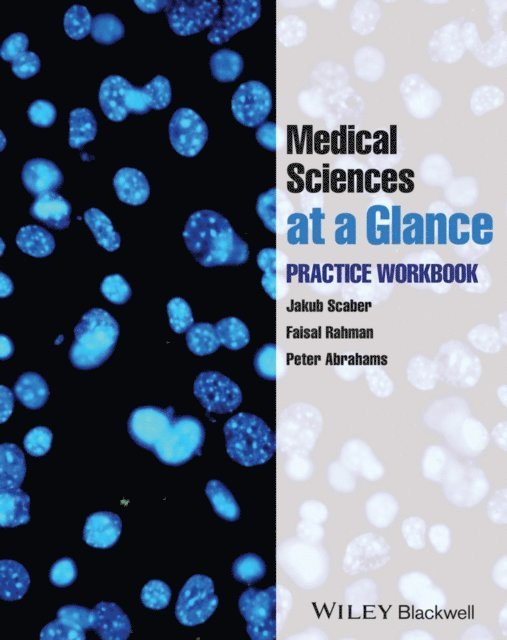 Peter Abrahams, Faisal Rahman, Jakub Scaber - Medical Sciences at a Glance, E-bok