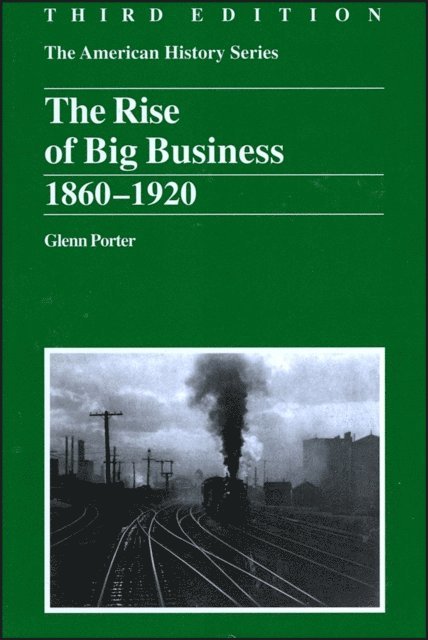 Glenn Porter - Rise of Big Business, E-bok