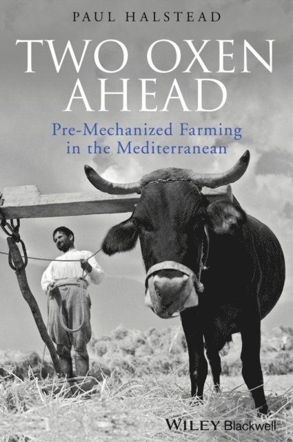 Paul Halstead - Two Oxen Ahead, E-bok