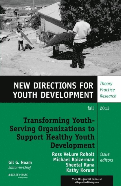 Kathy Korum, Sheetal Rana, Michael L. Baizerman, Ross VeLure Roholt - Transforming Youth Serving Organizations to Support Healthy Youth Development, E-bok