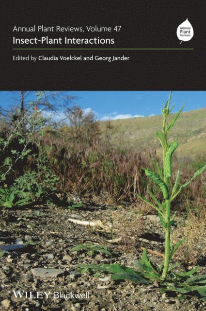 Georg Jander, Claudia Voelckel - Annual Plant Reviews, Insect-Plant Interactions, E-bok