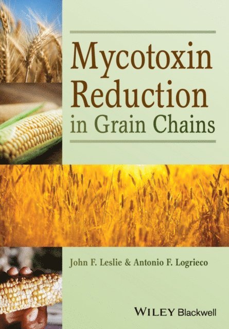 Antonio Logrieco, John F. Leslie - Mycotoxin Reduction in Grain Chains, E-bok