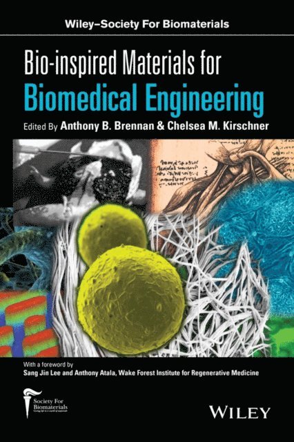 Chelsea M. Kirschner, Anthony B. Brennan - Bio-inspired Materials for Biomedical Engineering, E-bok