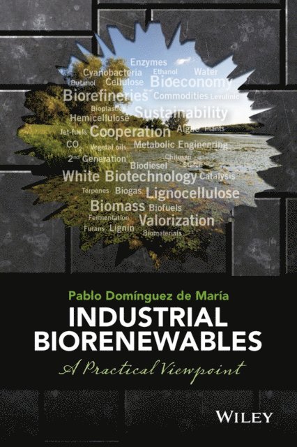 Pablo Dom nguez de Mar a - Industrial Biorenewables, E-bok