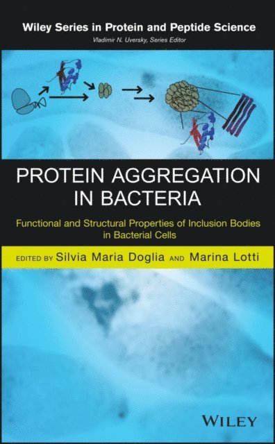 Marina Lotti, Silvia Maria Doglia - Protein Aggregation in Bacteria, E-bok