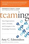 Teaming to Innovate