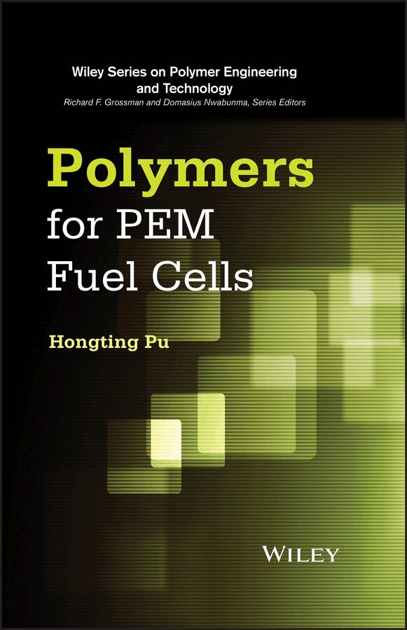 Hongting Pu - Polymers for PEM Fuel Cells, E-bok