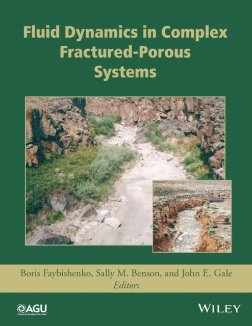 John E. Gale, Sally M. Benson, Boris Faybishenko - Fluid Dynamics in Complex Fractured-Porous Systems, E-bok