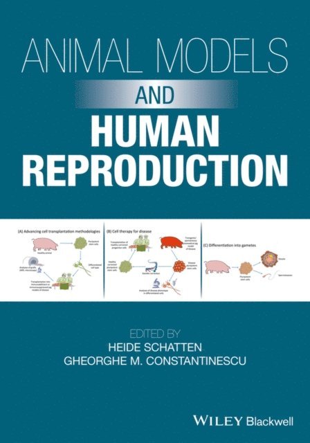 Gheorghe M. Constantinescu, Heide Schatten - Animal Models and Human Reproduction, E-bok