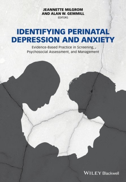Alan W. Gemmill, Jeannette Milgrom - Identifying Perinatal Depression and Anxiety, E-bok