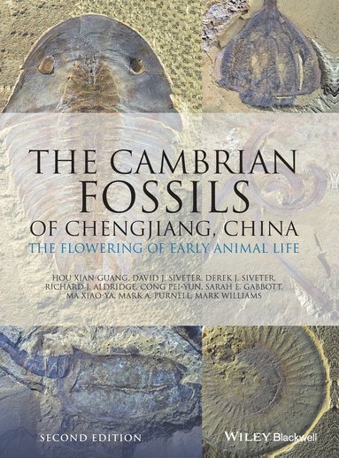 Cambrian Fossils of Chengjiang, China av Hou Xian-Guang, David J Siveter, Derek J Siveter, Richard J Aldridge, Cong Pei-Yun