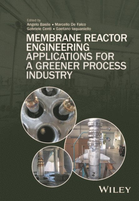 Gaetano Iaquaniello, Gabriele Centi, Marcello De Falco, Angelo Basile - Membrane Reactor Engineering, E-bok
