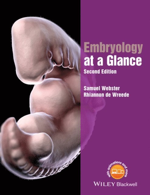 Rhiannon de Wreede, Samuel Webster - Embryology at a Glance, E-bok