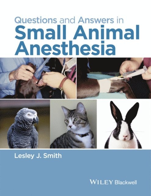 Lesley J. Smith - Questions and Answers in Small Animal Anesthesia, E-bok