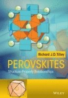 Richard J. D. Tilley - Perovskites, Inbunden