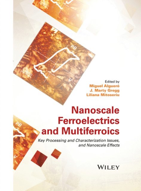 Liliana Mitoseriu, J. Marty Gregg, Miguel Alguero - Nanoscale Ferroelectrics and Multiferroics, E-bok