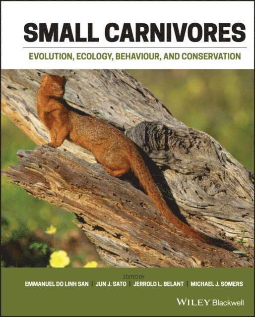 Michael J. Somers, Jerrold L. Belant, Jun J. Sato, Emmanuel Do Linh San - Small Carnivores, E-bok