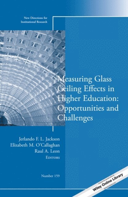 Raul A. Leon, Elizabeth M. O'Callaghan, Jerlando F. L. Jackson - Measuring Glass Ceiling Effects in Higher Education: Opportunities and Challenges, E-bok