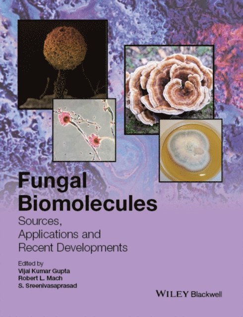 S. Sreenivasaprasad, Robert L. Mach, Vijai Kumar Gupta - Fungal Biomolecules, E-bok